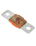40 Amp Midi Fuse