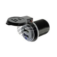 DUAL USB SOCKET 2.4A